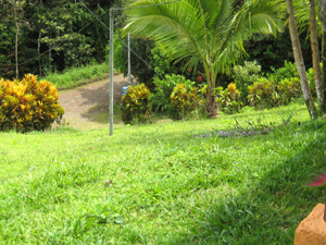 Though within a few blocks of the center of Nuevo Arenal, the location is distinctly rural and private.